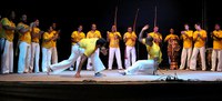 Fundação Cultural Palmares assume Grupo de Trabalho Pró-Capoeira