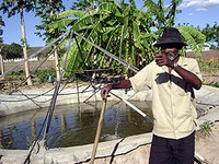 Irrigação alternativa garante produção agrícola no Sertão