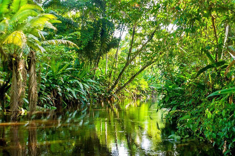 Serra da Barriga: a força da natureza!