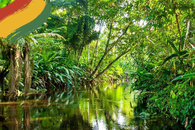 Serra da Barriga: a força da natureza!