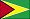 Bandeira da Guiana