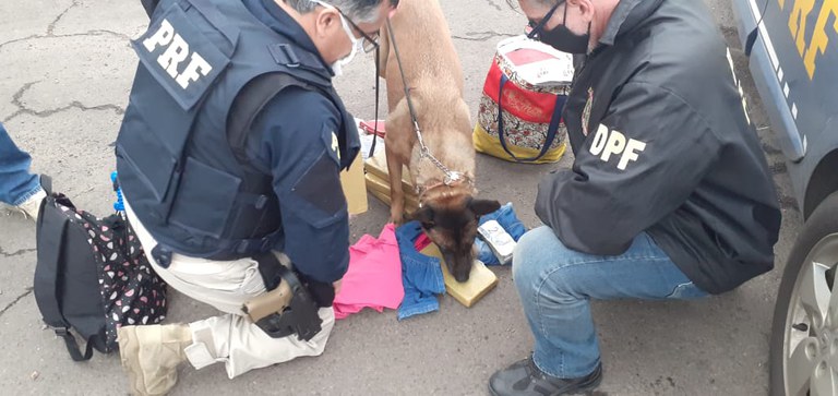 POLÍCIA FEDERAL E PRF - DIVULGAÇÃO (2).jpg