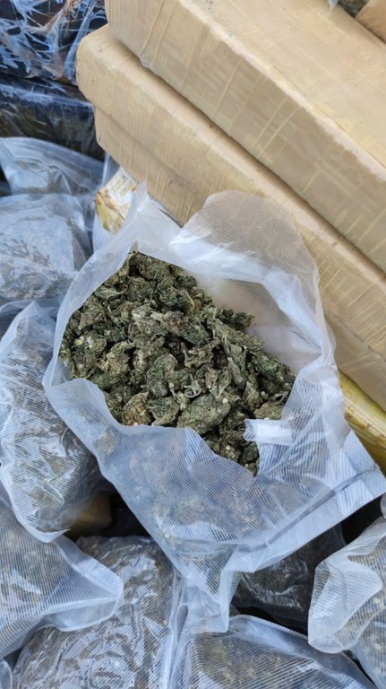 apreensão maconha guaira PR 2.jfif