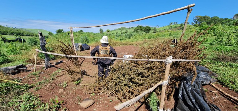 Operação paraguai 8.jpg