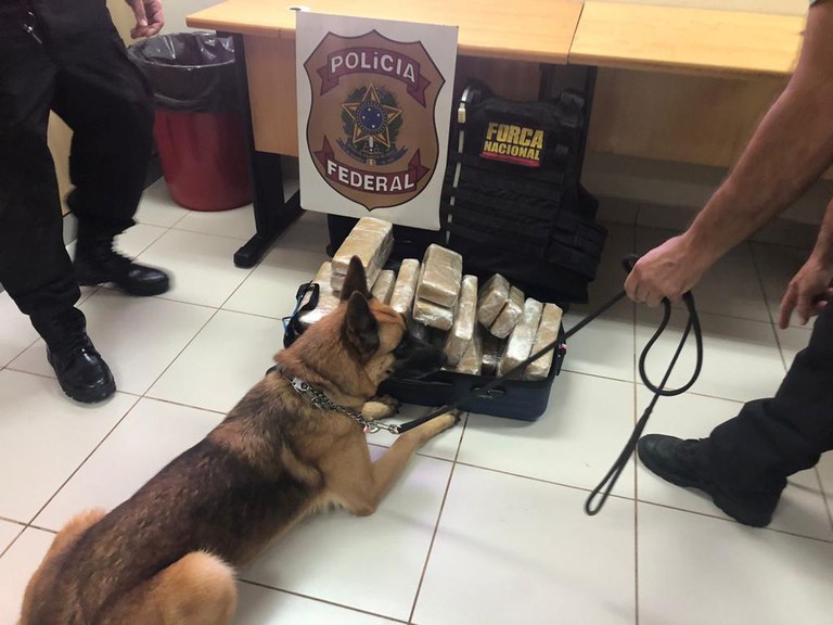 maconha apreendida foz passageira 5.jpg