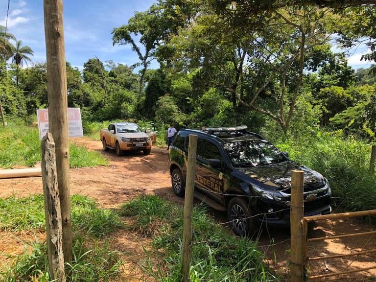 PF e ANM combatem crimes ambientais Polícia Federal