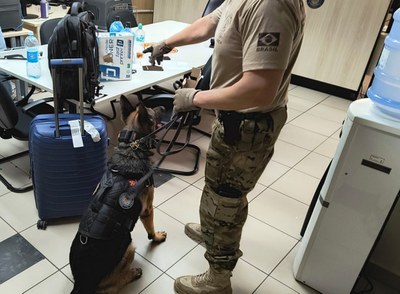 Homem é preso em aeroporto tentando embarcar com cocaína escondida em garrafas de bebida