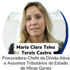 Maria Clara Teles Terzis Castro