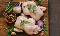 Ministry of Agriculture and Livestock highlights Brazil's vocation for exporting chicken meat