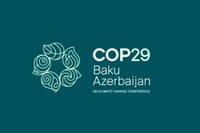 Financing the Paris Agreement and the carbon market must be the focus of COP29 discussions in Baku