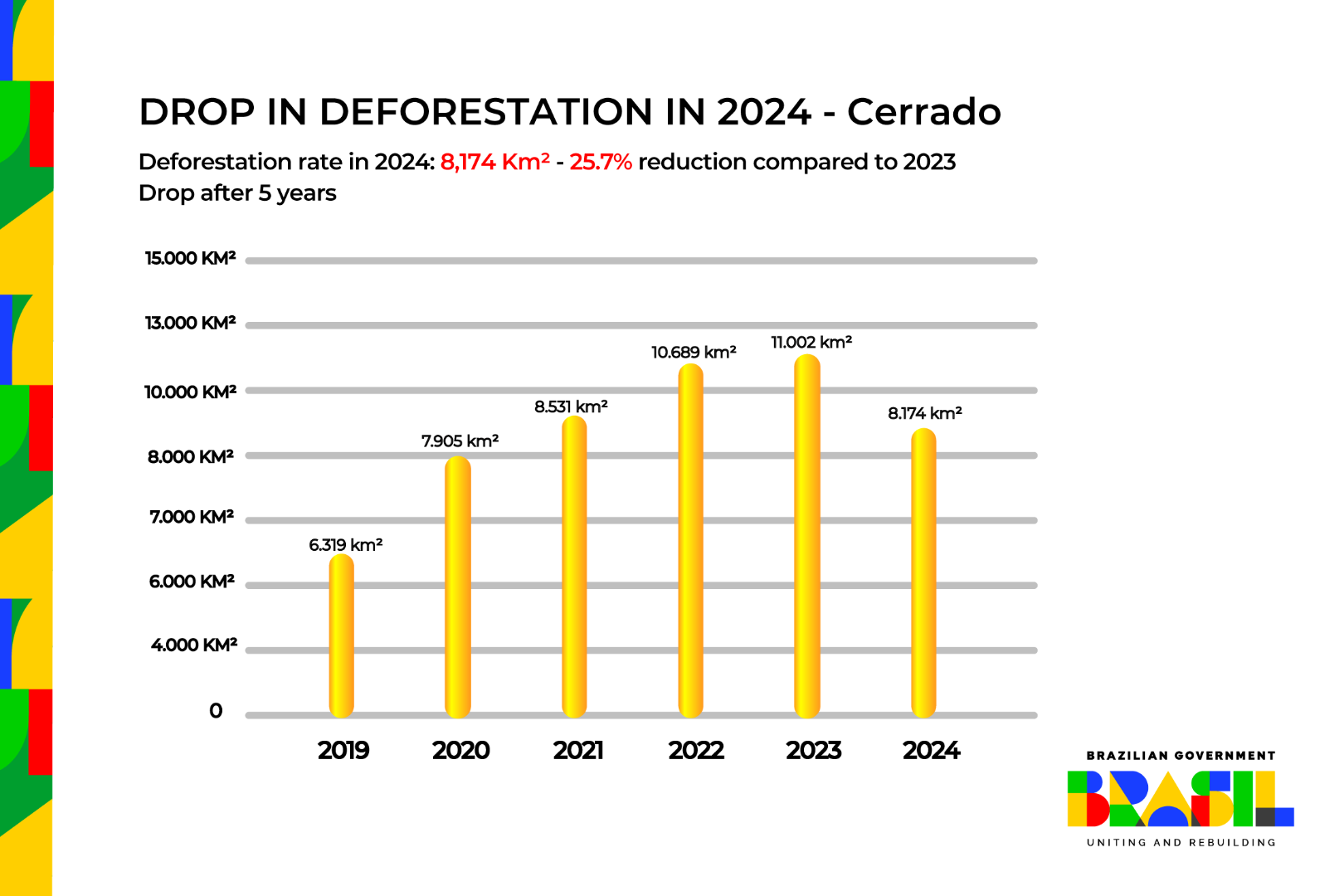 Desmatamento 2024_ Cerrado (ingles)-01.png