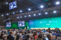Brasil es oficialmente elegido país sede de la COP 30