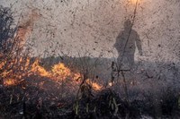 Medida Provisional autoriza crédito extraordinario para actuar contra la crisis climática