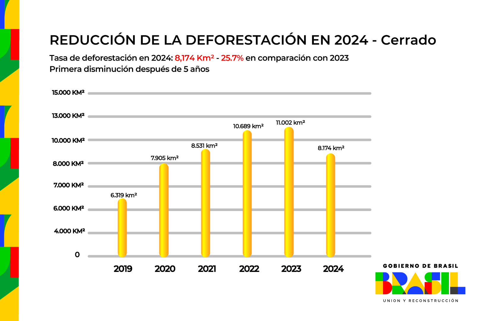 Desmatamento 2024_ Cerrado (espanhol)-01.png