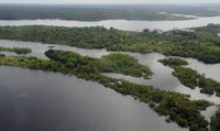 Em seu discurso na ONU, Presidente Bolsonaro afirma que Brasil tem tolerância zero com crime ambiental