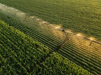 Produção do campo não parou durante Covid-19, destaca Presidente Bolsonaro