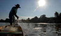 Novo sistema nacional de cadastro para pescadores profissionais é mais rápido e mais seguro