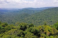 Governo Federal envia ao Congresso Plano de Desenvolvimento da Amazônia 2024-2027