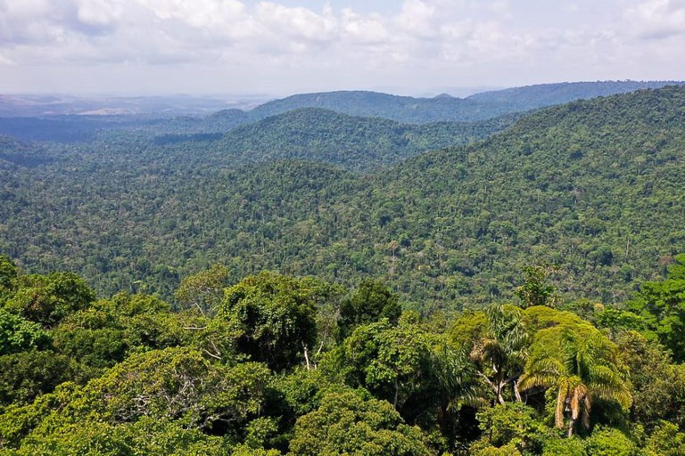 Amazônia TV Brasil1.jpg