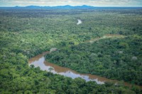 Governo lança parceria com municípios para combater desmatamento e incêndios florestais na Amazônia