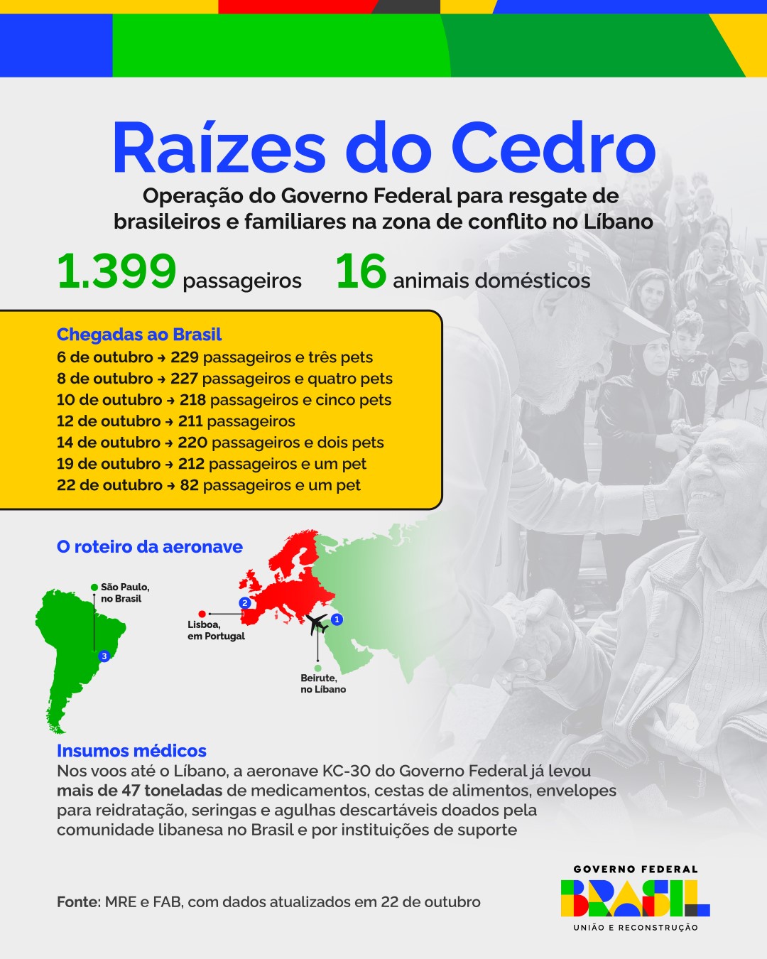 Raízes do Cedro v3.jpg