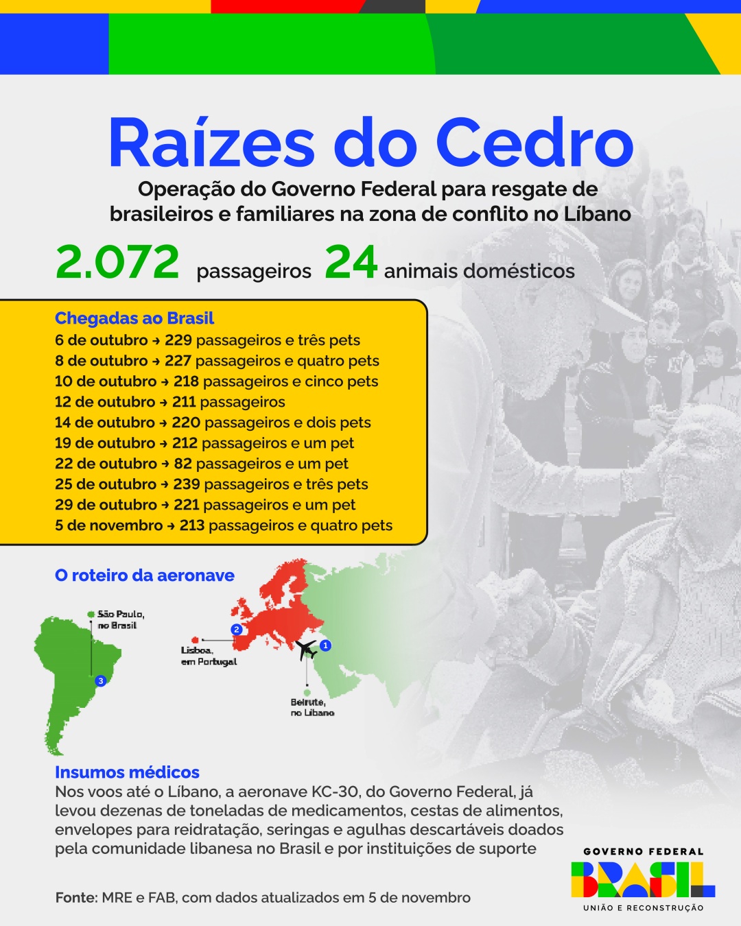 infografico_raizes_cedro.jpg