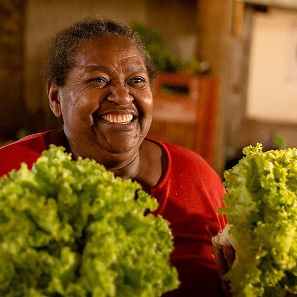 Consea recomenda que COP 30 ofereça “comida de verdade”