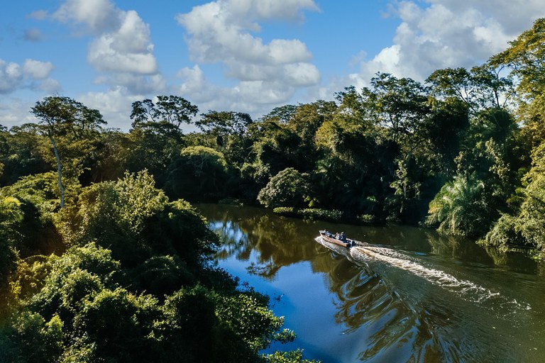 Floresta Amazônica