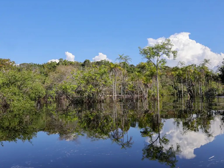 Expectativa é de que produtos e serviços com insumos da biodiversidade amazônica já exibam o selo durante a COP 30, em Belém