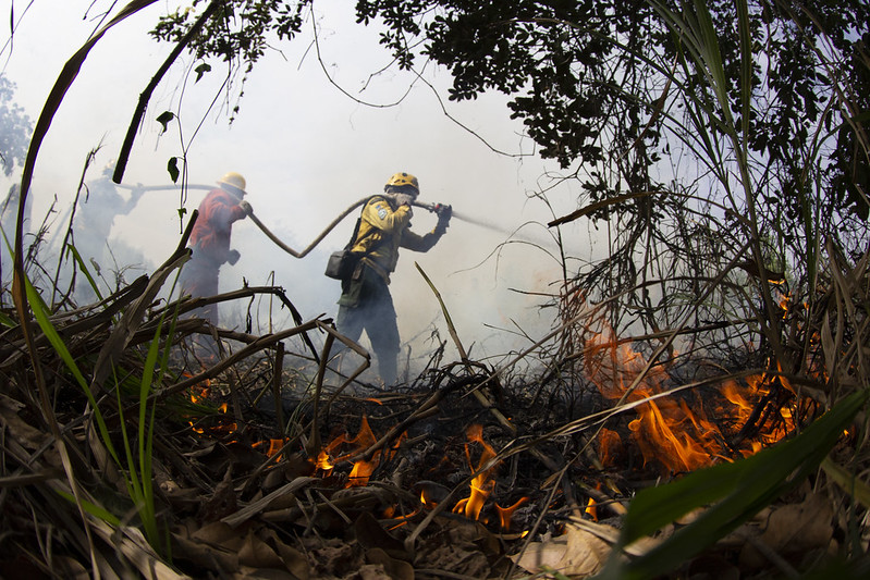 Medida Provisória libera novo crédito de R$ 137,6 milhões para combate a incêndios no Pantanal