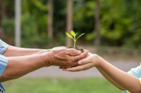 MPor inova com medidas de sustentabilidade em portos, hidrovias e no setor aéreo