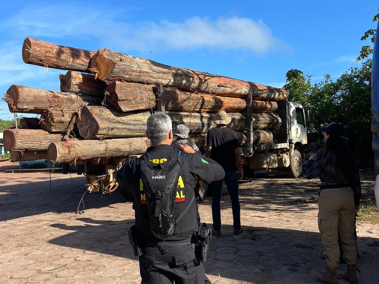 Polícia Federal apreende caminhão com carga de madeira ilegal