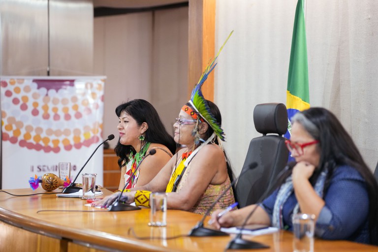 10.12.2024 - II Seminário justiça climática para proteção dos direitos e soberania dos povos originários - Painel 5 - Planos locais de enfrentamento as mudanças climáticas_@GustavoAlcantaraFotografia_.jpg