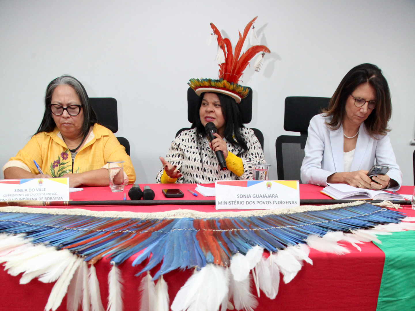 Participaram representantes do Governo Federal, sociedade civil, lideranças indígenas e parceiros internacionais durante três dias em Brasília