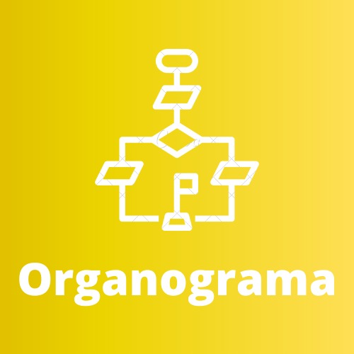 organograma.jpeg