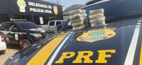 Operação Argos 2023: PRF realiza ações de enfrentamento ao crime organizado, no Acre