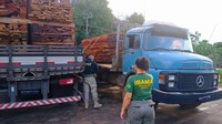 Operação Samaúma: PRF e IBAMA combatem os crimes ambientais no Acre