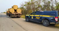 Crime ambiental: PRF flagra caminhão transportando cerca de 30 m3 de madeira irregular no Acre