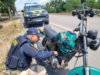 Homem é preso pela PRF por receptação de veículo em Pilar/AL