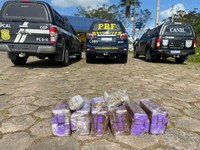 Operação entre PRF, DRN e 3⁰ BPM apreende 30kg de maconha na  BR-101