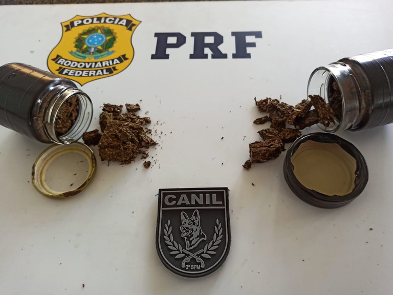 PRF e Canil do 3° BPM prendem passageiro por tráfico de drogas em São Sebastião 2.jfif