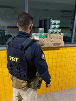 PRF prende homem por porte ilegal de arma de fogo, em Canapi/AL