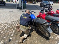 PRF recupera motocicleta adulterada, com registro de furto, em Canapi/AL