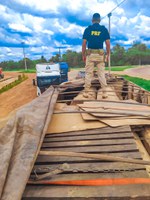 PRF apreende madeira ilegal em Humaitá-AM