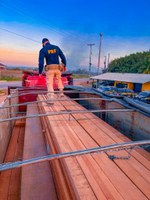 PRF-AM apreende madeira sendo transportada ilegalmente na BR-319