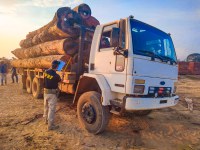 PRF apreende transporte ilegal de madeira no interior do Amazonas