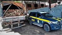 Flagrante de crime ambiental: Em Itabuna (BA), PRF realiza apreensão de carga de madeira transportada ilegalmente