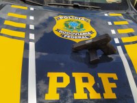 PRF apreende arma de fogo e munições durante abordagem na cidade de Serrinha (BA)