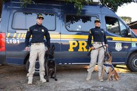 PRF participa da Formatura de Conclusão do Estágio de Condutor de Cães de Guerra em Salvador (BA)