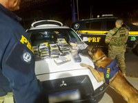 Com auxílio de cão farejador, PRF na Bahia apreende 30,4 kg de cocaína escondidas em automóvel, no município de Vitória da Conquista (BA)